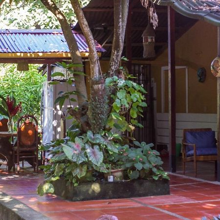 Hotel Mi Refugio Tayrona Santa Marta  Zewnętrze zdjęcie