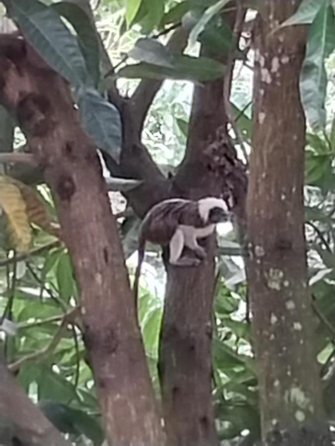 Hotel Mi Refugio Tayrona Santa Marta  Zewnętrze zdjęcie