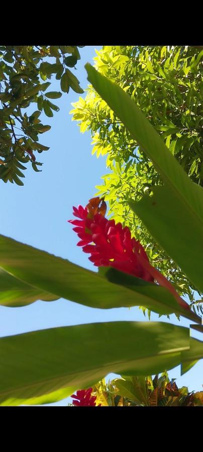 Hotel Mi Refugio Tayrona Santa Marta  Zewnętrze zdjęcie