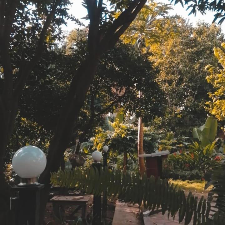 Hotel Mi Refugio Tayrona Santa Marta  Zewnętrze zdjęcie