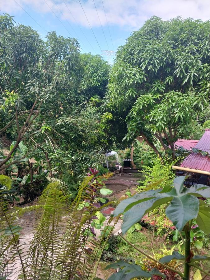Hotel Mi Refugio Tayrona Santa Marta  Zewnętrze zdjęcie