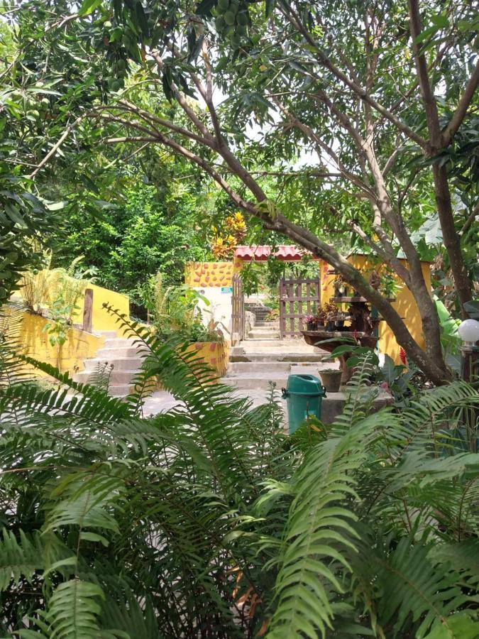 Hotel Mi Refugio Tayrona Santa Marta  Zewnętrze zdjęcie